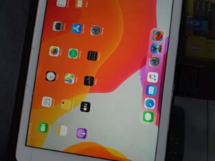 iPad 6th Gen (A1954)