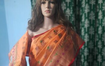 Organza saree