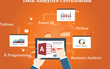 Data Analyst Course in Delhi, 110036. SLA